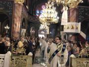 IMG7785