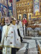 Viber2026-04-2416-33-00-828